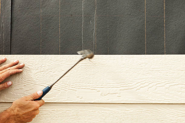 Best Siding Removal and Disposal  in Cabana Colony, FL